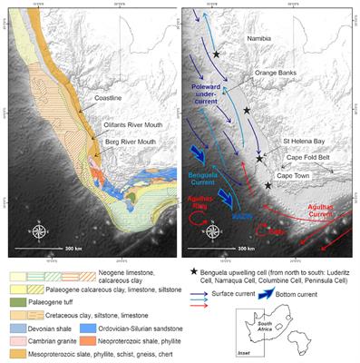 Benthic species patterns in and around the Cape Canyon: A large submarine canyon off the western passive margin of South Africa